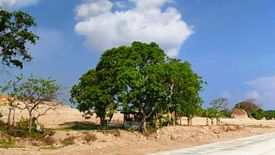 Land for sale in Matabungkay, Batangas