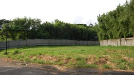 Land for sale in Almanza Dos, Metro Manila