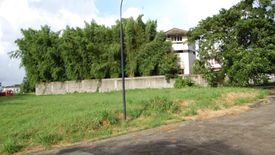 Land for sale in Almanza Dos, Metro Manila
