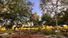 Land for sale in Tawala, Bohol