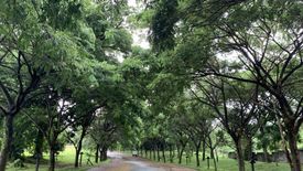 Land for sale in Elaro, Market Area, Laguna