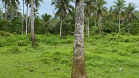 Land for sale in Consuelo, Surigao del Norte