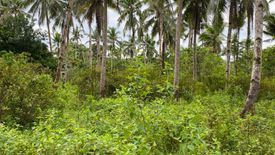Land for sale in Consuelo, Surigao del Norte