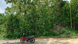 Land for sale in Consuelo, Surigao del Norte