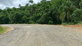 Land for sale in Consuelo, Surigao del Norte