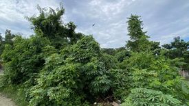 Land for sale in Poblacion III, Bohol