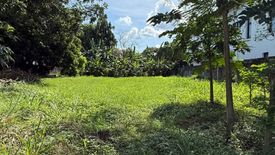 Land for sale in Ayala Alabang Village, New Alabang Village, Metro Manila