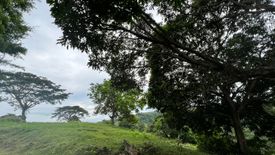 Land for sale in Ajong, Negros Oriental