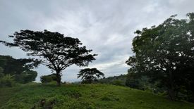 Land for sale in Ajong, Negros Oriental