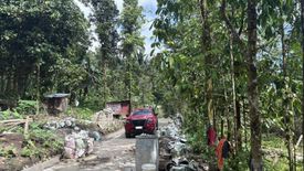 3 Bedroom House for sale in Lunga, Negros Oriental