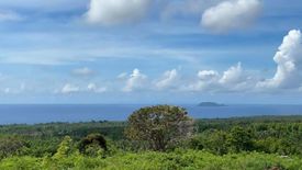 Land for sale in Tunga-Tunga, Negros Oriental