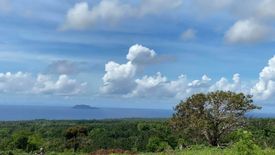 Land for sale in Tunga-Tunga, Negros Oriental