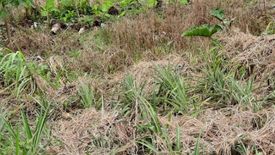 Land for sale in Asisan, Cavite