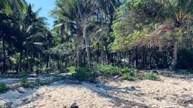 Land for sale in Santa Monica (Sapao), Surigao del Norte