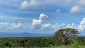 Land for sale in Tunga-Tunga, Negros Oriental