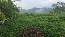 Land for sale in Cahil, Batangas