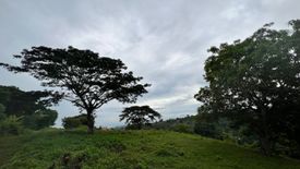 Land for sale in Ajong, Negros Oriental