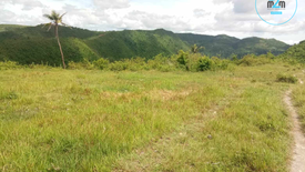 Land for sale in Pitalo, Cebu