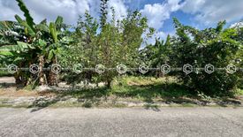 Land for rent in Malpitic, Pampanga