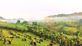 Land for sale in Alfaco, Cebu