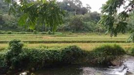 Land for sale in Cagbulacao, Albay