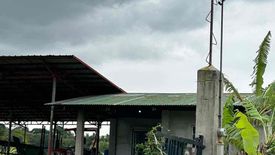 Land for sale in Cumba, Batangas