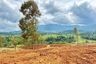 Land for sale in Aren Jaya, West Java