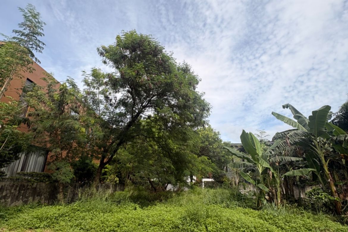 Land for sale in San Isidro, Metro Manila, Para&ntilde;aque, Metro Manila - Photo 3