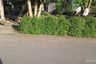 Tanah dijual dengan  di Selo Martani, Yogyakarta