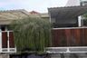 3 Bedroom House for sale in Bojong Jengkol, West Java