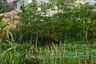 Land for sale in Cisempur, West Java