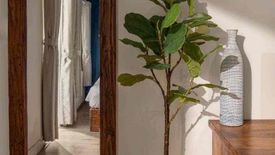 Cho thuê nhà riêng 2 phòng ngủ tại Mân Thái, Quận Sơn Trà, Đà Nẵng