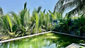 Cho thuê villa 4 phòng ngủ tại Cửa Đại, Hội An, Quảng Nam