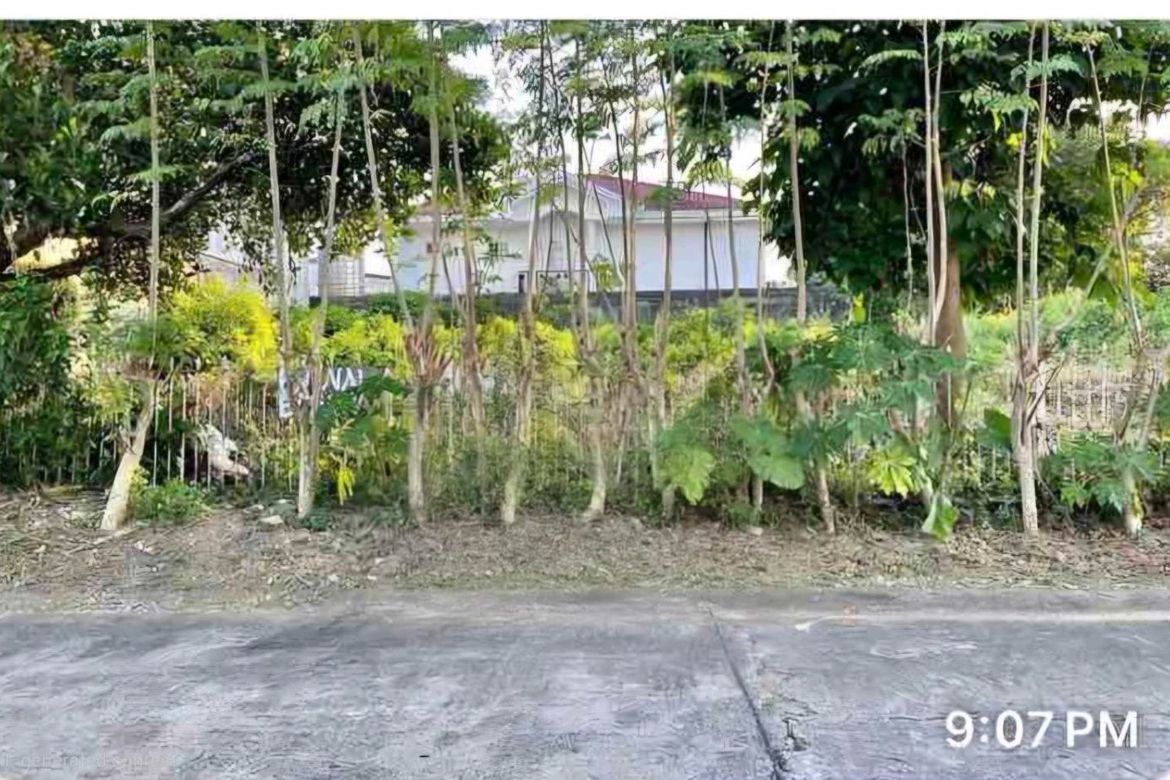Land for sale in BF Resort, Metro Manila, Las Pi&ntilde;as, Metro Manila - Photo 3