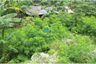 Land for sale in Cikupa, Banten