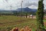 Land for sale in Jatisampurna, West Java