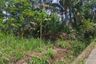 Land for sale in Blotongan, Central Java