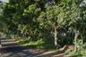 Land for sale in Bayuning, West Java