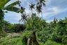 Land for sale in Lodtunduh, Bali