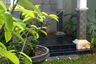 2 Bedroom House for rent in Cikarang Kota, West Java
