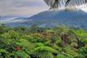 3 Bedroom Commercial for sale in Baturiti, Bali