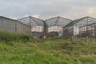 Land for Sale or Rent in Teluk Naga, Banten