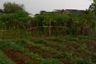 Land for sale in Ciwalen, West Java
