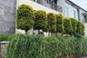 4 Bedroom House for sale in Menteng, Jakarta
