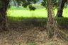 Land for sale in Babakan Madang, West Java