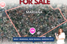Land for sale in Mariana, Metro Manila near LRT-2 Gilmore
