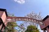 Land for sale in Nglames, East Java