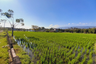 Tanah dijual dengan  di Seririt, Bali