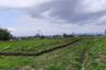 Land for sale in Bandulan, East Java