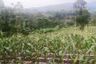 Land for sale in Kebonpedes, West Java